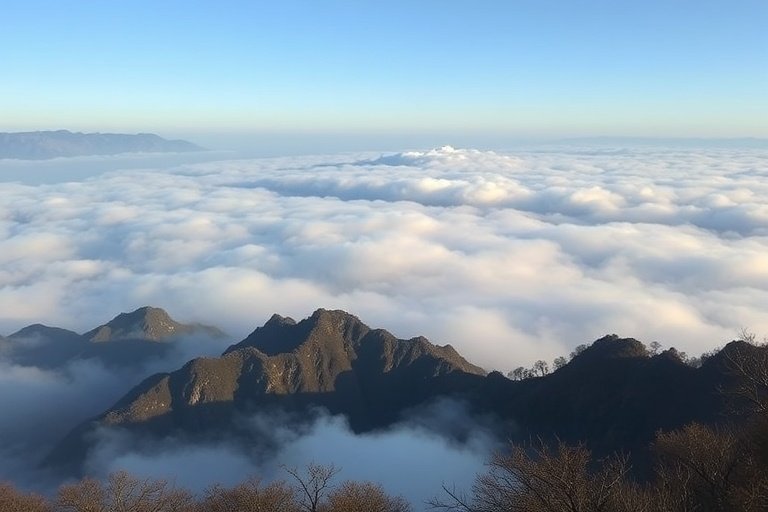 小说区视频区-黄山云海：中国最美山岳4K